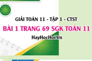 Giải bài 1 trang 69 Toán 11 tập 1 SGK Chân trời sáng tạo